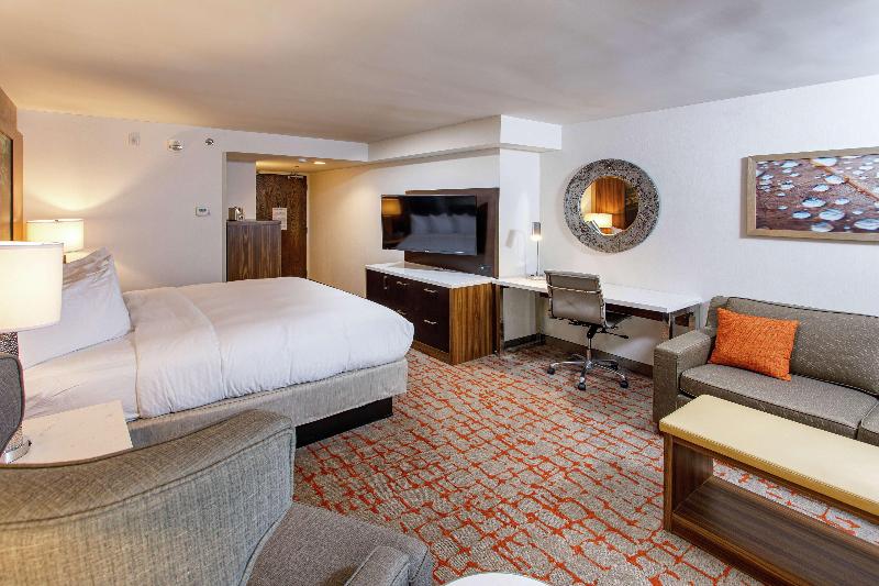 Cameră Standard Pat King Size, Doubletree By Hilton Appleton