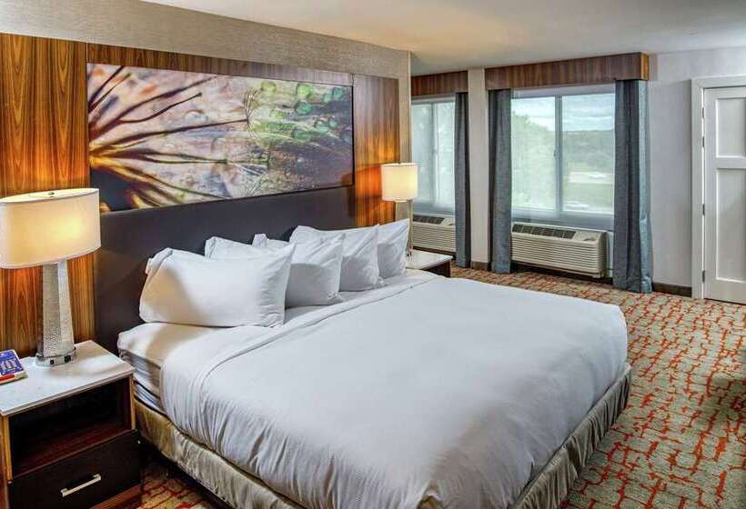 Suite Familiar, Doubletree By Hilton Appleton
