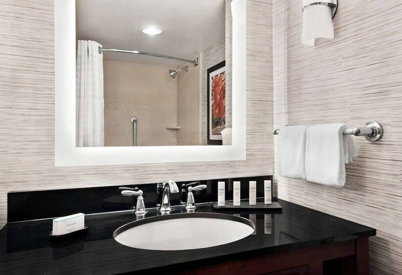 סוויטה, Embassy Suites By Hilton Brunswick