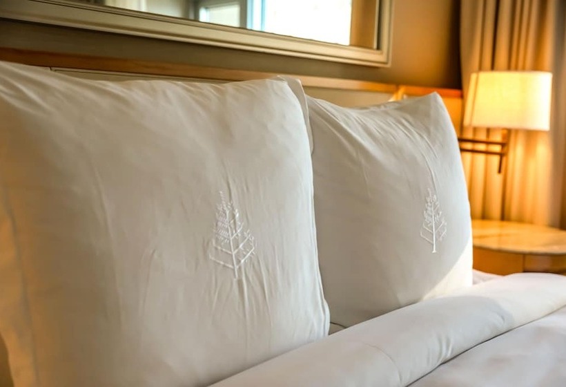 Standaardkamer met Tweepersoonsbed, Four Seasons  Chicago
