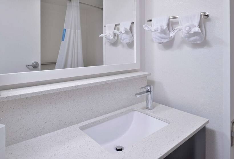 Номер Стандарт 2 Двуспальные Кровати, Hampton Inn Greenville