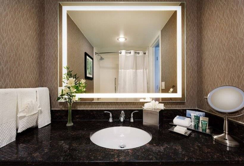 اتاق لوکس, Hilton Cincinnati Airport