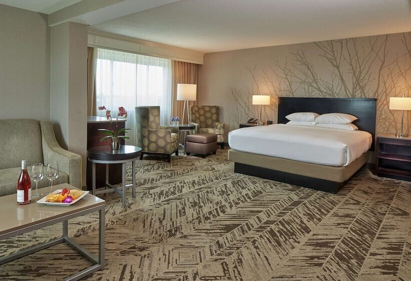 اتاق لوکس, Hilton Cincinnati Airport