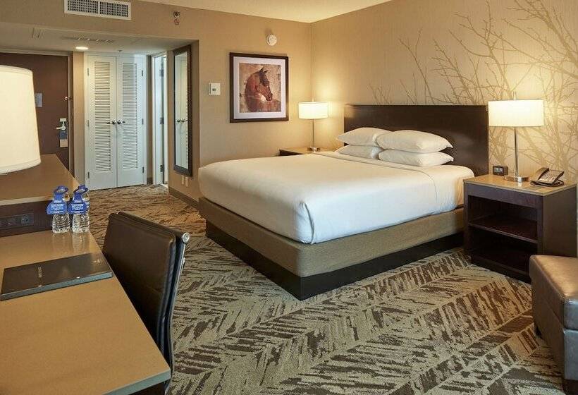اتاق لوکس, Hilton Cincinnati Airport