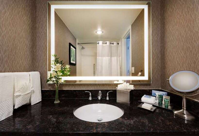 اتاق لوکس با تخت بزرگ, Hilton Cincinnati Airport
