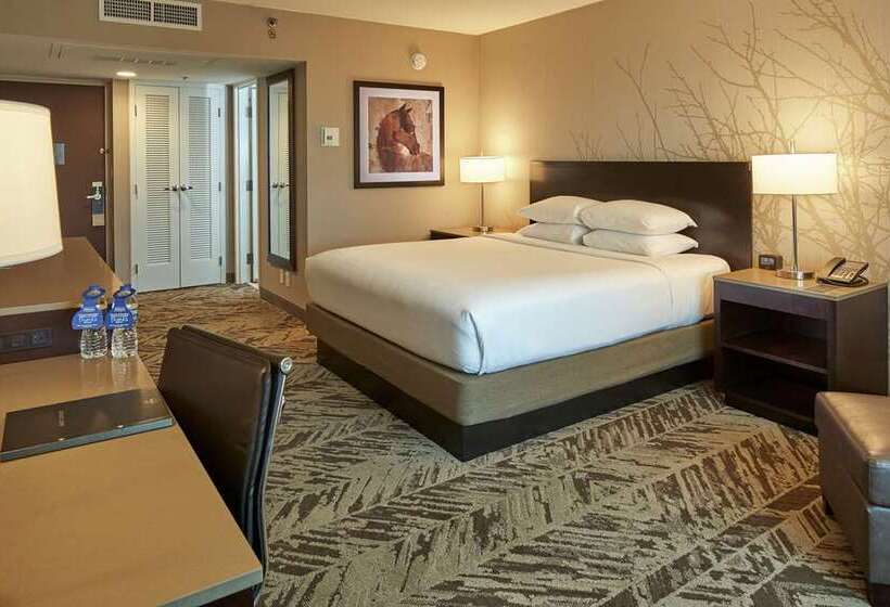 اتاق لوکس با تخت بزرگ, Hilton Cincinnati Airport
