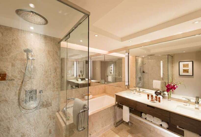 اتاق لوکس با تخت بزرگ, Hilton Cincinnati Airport