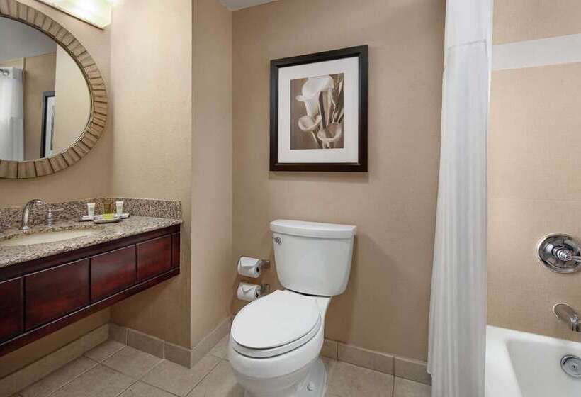 اتاق لوکس, Hilton Cincinnati Airport