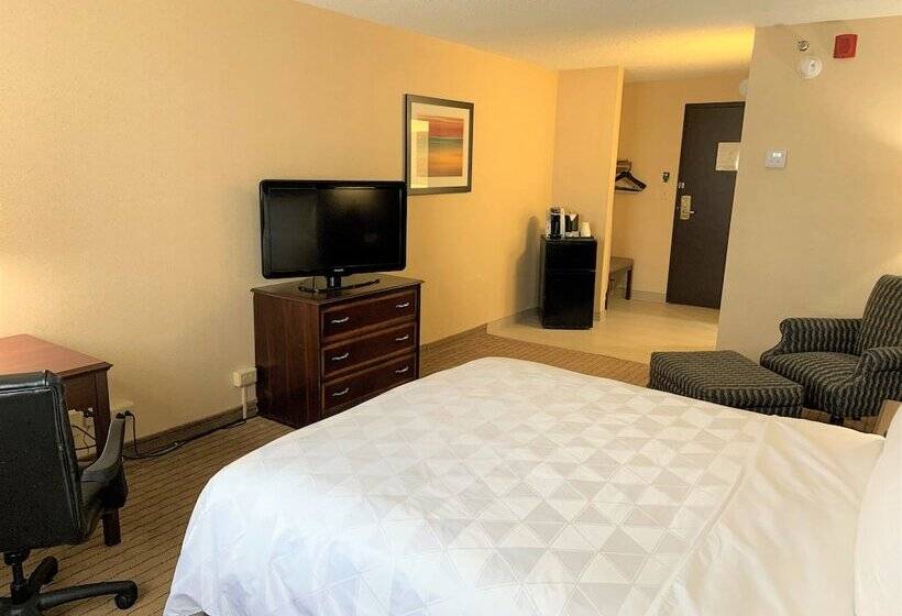 Номер Стандарт, Holiday Inn & Suites Chicago Carol Stream Wheaton, An Ihg