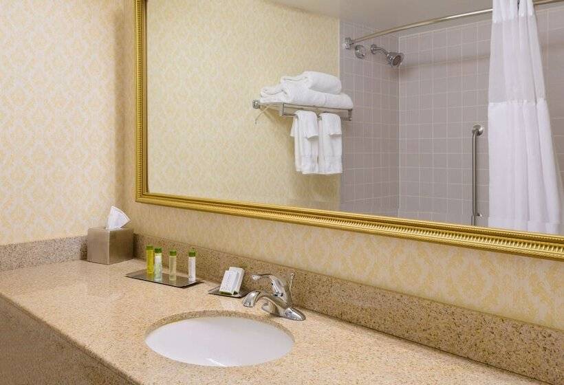 스위트, Doubletree By Hilton Richmond Midlothian