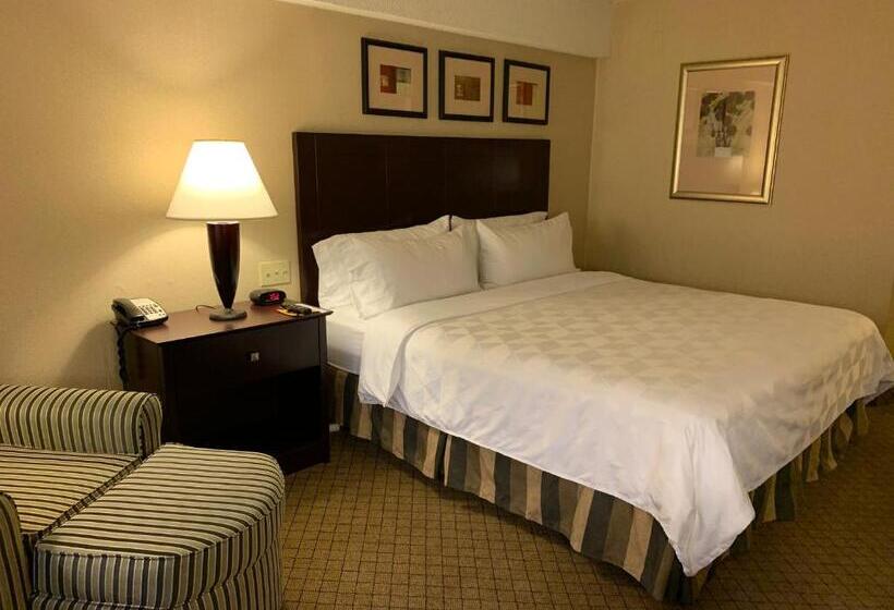 身障者適用キングサイズベッドルーム, Holiday Inn Johnstown Downtown, An Ihg