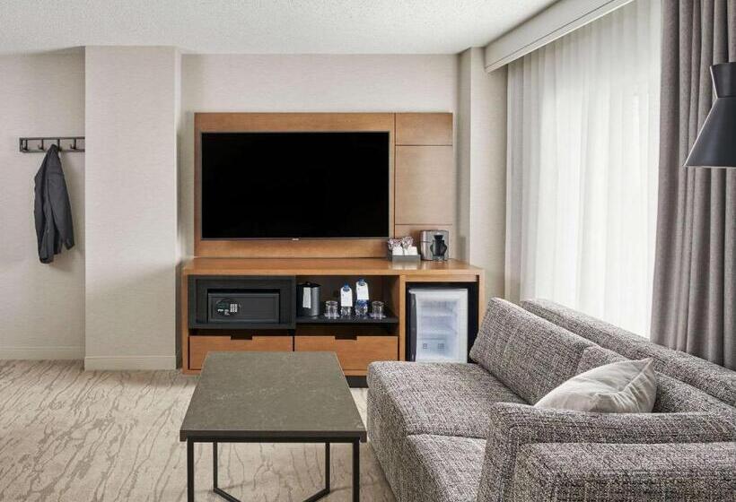 스탠다드 룸 킹사이즈 침대, Hyatt Regency Deerfield