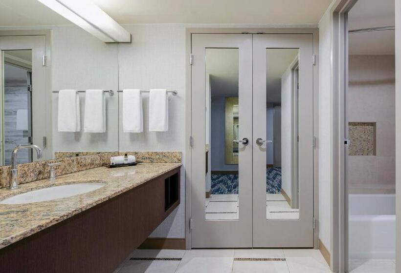 سوییت اجرایی, Hyatt Regency Dfw International Airport