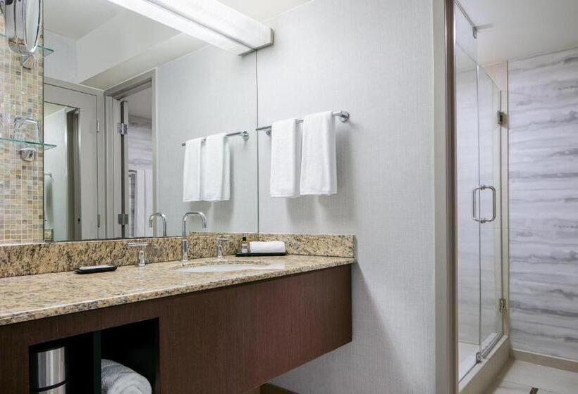 سوئیت جونیور با تخت بزرگ, Hyatt Regency Dfw International Airport