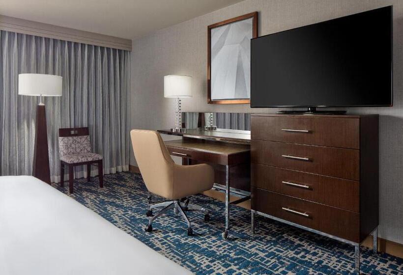 اتاق استاندارد با تخت بزرگ, Hyatt Regency Dfw International Airport