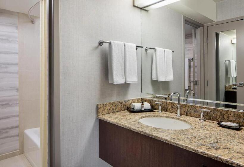 اتاق استاندارد با تخت دو نفره بزرگ, Hyatt Regency Dfw International Airport