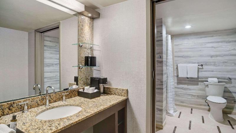 اتاق استاندارد با تخت بزرگ, Hyatt Regency Dfw International Airport
