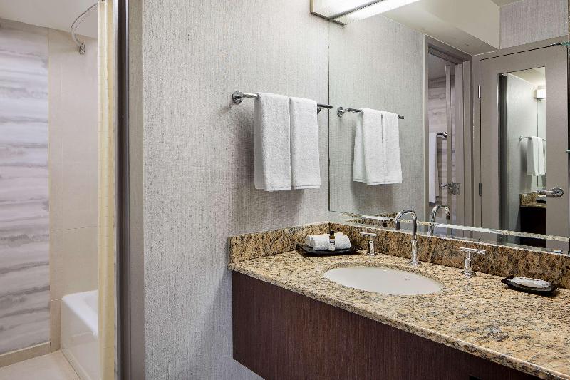 اتاق استاندارد با تخت دو نفره بزرگ, Hyatt Regency Dfw International Airport