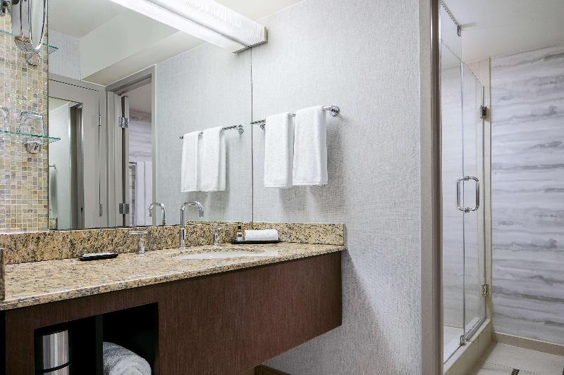 اتاق استاندارد با تخت بزرگ, Hyatt Regency Dfw International Airport