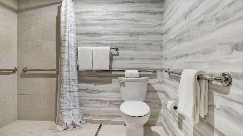 اتاق استاندارد با تخت دو نفره بزرگ, Hyatt Regency Dfw International Airport