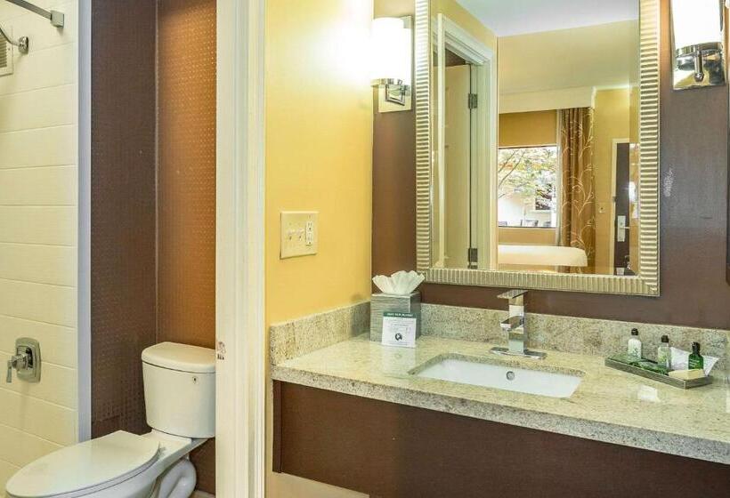 Quarto Estandar Cama King, Inn At The Peachtrees, Ascend Hotel Collection
