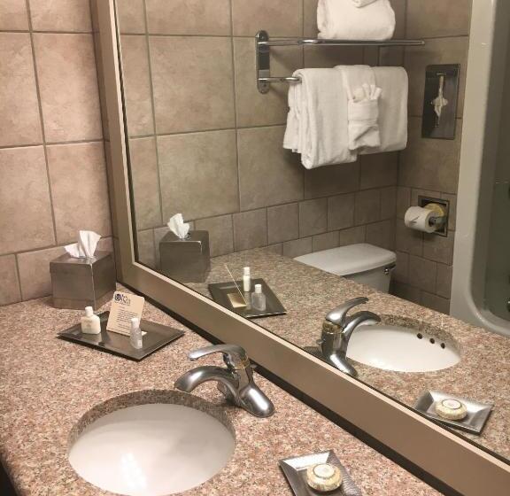 Номер Стандарт Вид на Бассейн, Inn Of The Hills Hotel And Conference Center
