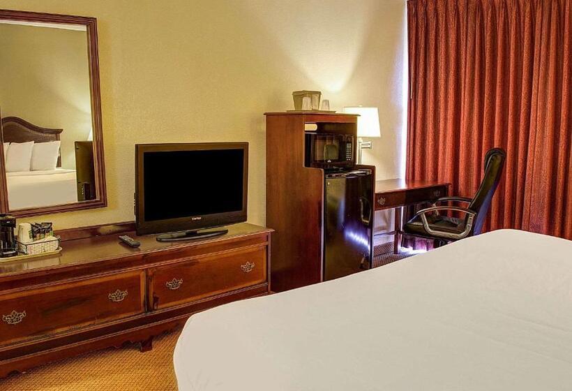 스탠다드 룸 킹사이즈 침대, Quality Inn North