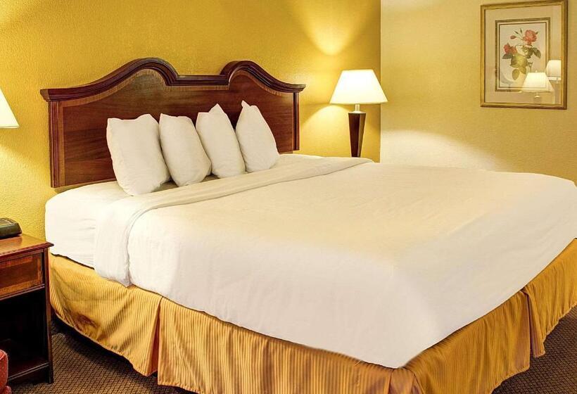 스탠다드 룸 킹사이즈 침대, Quality Inn North