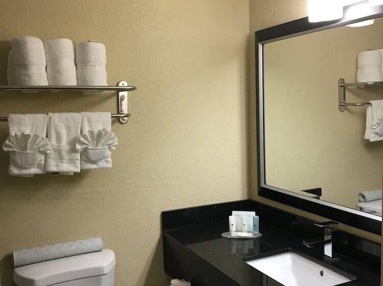 اتاق کلاس بیزنس, Ramada Plaza By Wyndham Charlotte South End Airport