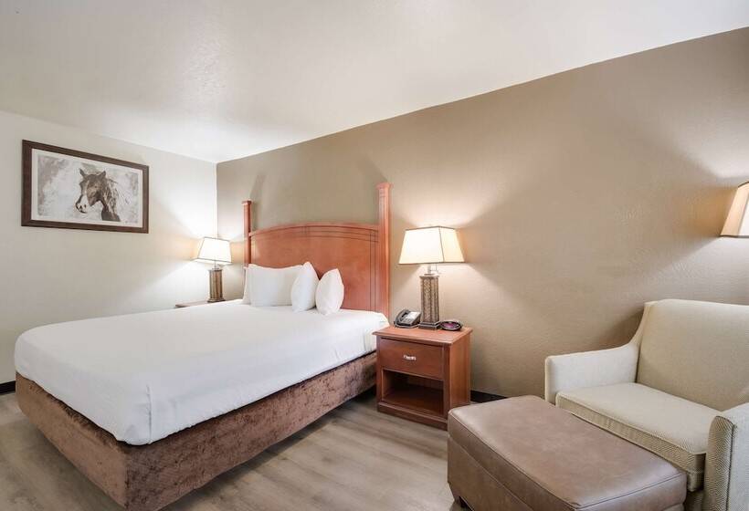 سوییت, Surestay Plus Hotel By Best Western Lawton