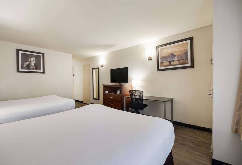 سوییت, Surestay Plus Hotel By Best Western Lawton