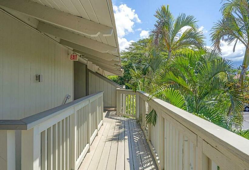 استودیوی استاندارد, Kihei Bay Surf 236