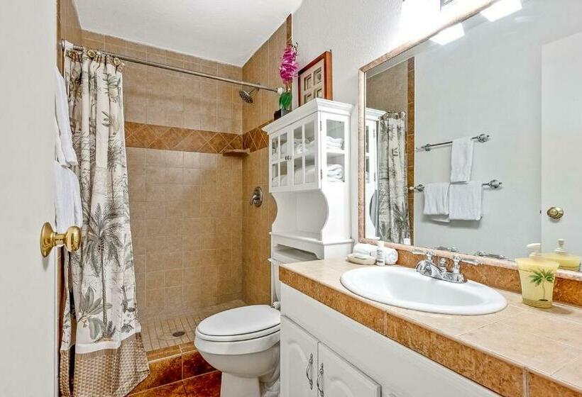استودیوی استاندارد, Kihei Bay Surf 236