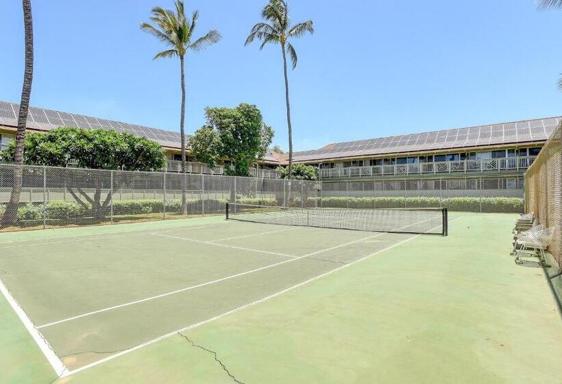 استودیوی استاندارد, Kihei Bay Surf 236