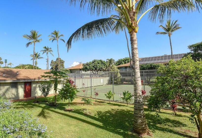 استودیوی استاندارد, Kihei Bay Surf 236