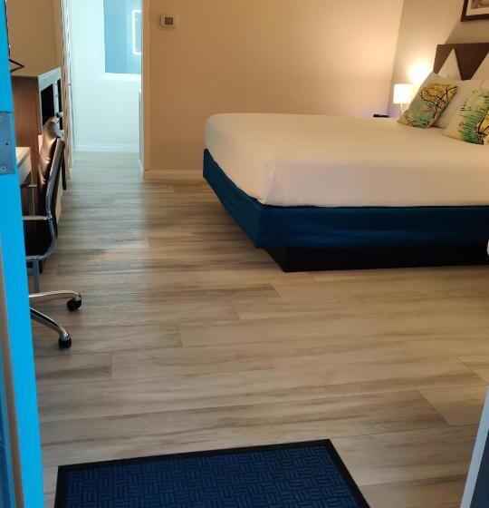 Cameră Standard Pat King Size, Kings Inn