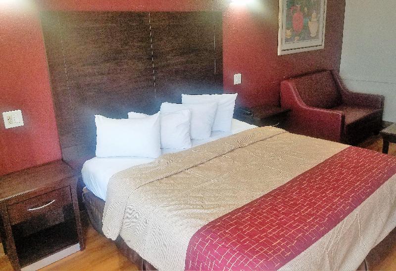 חדר סופריור, Red Roof Inn & Suites Houston  Hobby Airport