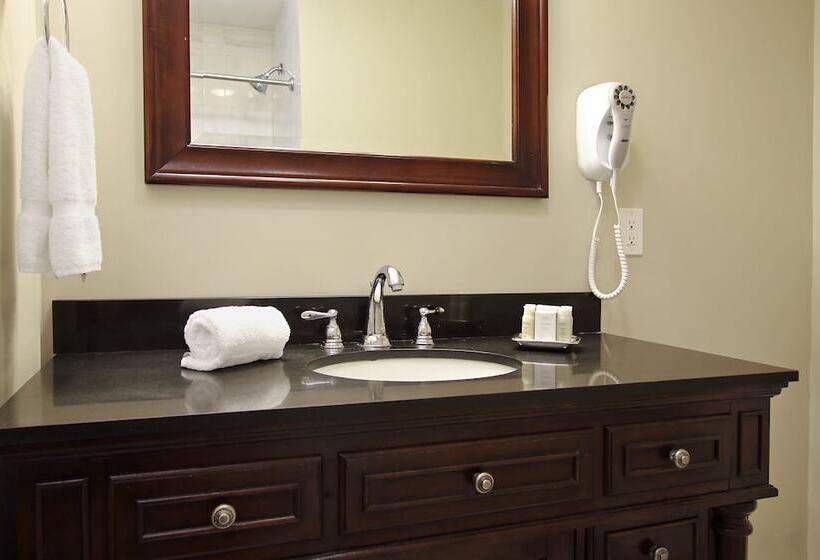 디럭스 룸, Lamothe House Hotel A French Quarter Guest Houses Property