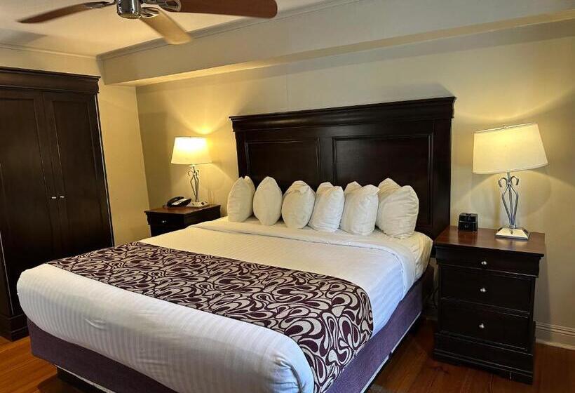 스탠다드 룸 킹사이즈 침대, Lamothe House Hotel A French Quarter Guest Houses Property