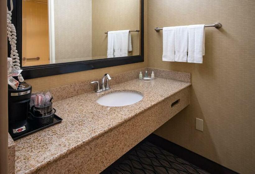 Suite Lit King, Clarion Hotel Anaheim Resort