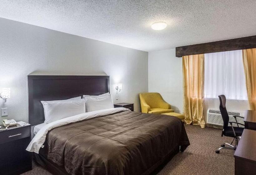 キングサイズベッドのスタンダードルーム, Clarion Inn Near Mcallen Airport