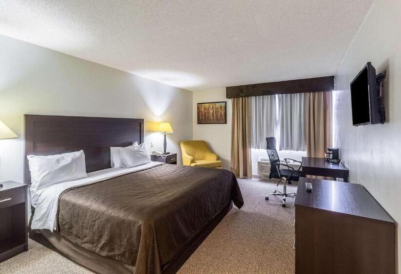 身障者適用キングサイズベッドルーム, Clarion Inn Near Mcallen Airport