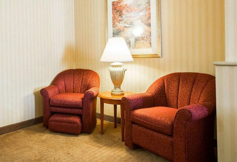 Номер Стандарт 2 Двуспальные Кровати, Comfort Inn & Suites