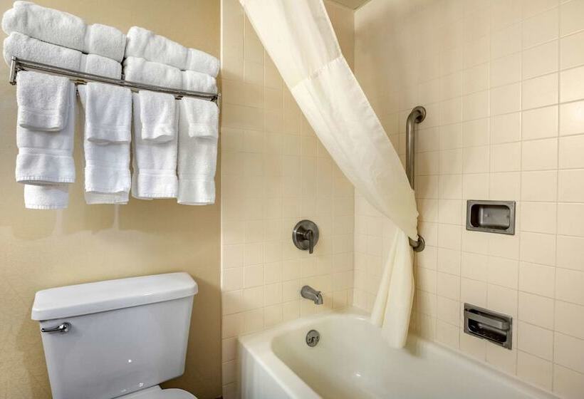 ２ダブルベッドのスタンダードルーム, Clarion Hotel Conference Center On Lake Erie