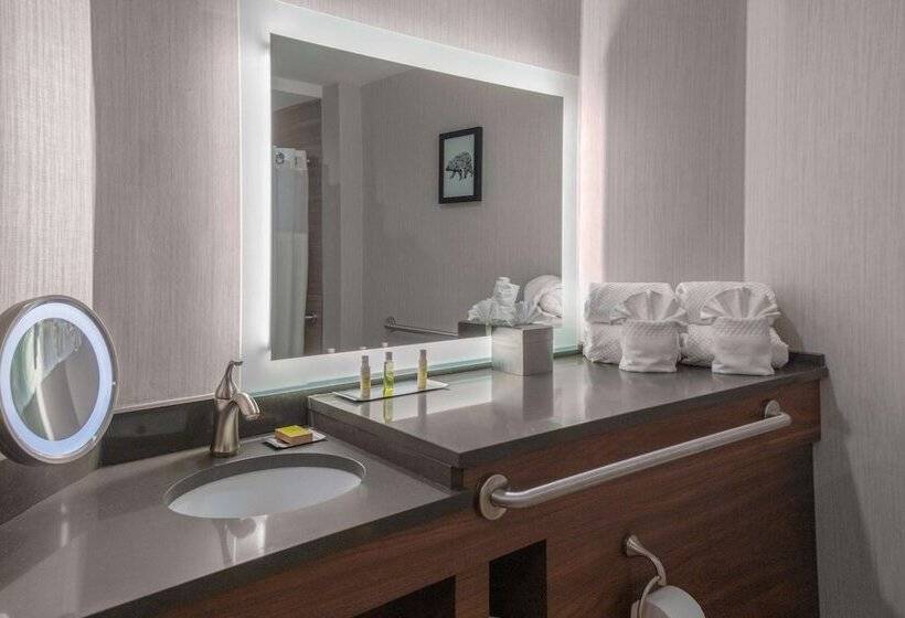 장애인용 디럭스룸, Doubletree By Hilton Burlington Vermont