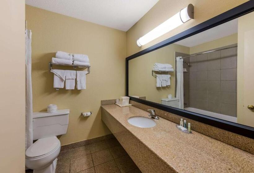 Номер Стандарт 2 Двуспальные Кровати, Quality Inn Airport