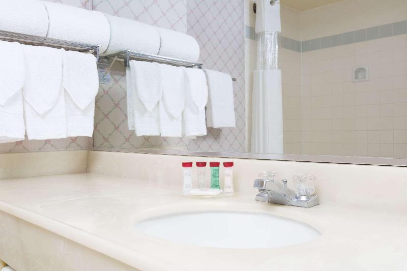 스탠다드 룸 킹사이즈 침대, Ramada by Wyndham Hawthorne LAX / LA Stadium