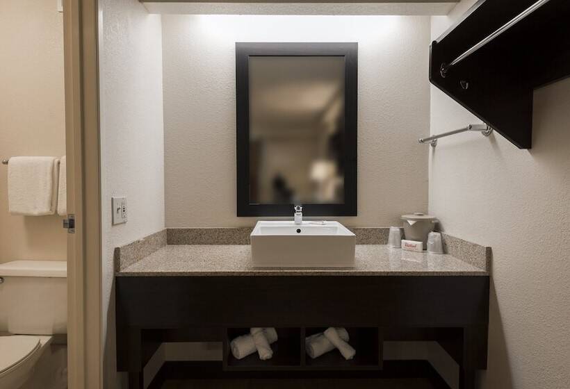 Номер Стандарт 2 Двуспальные Кровати, Red Roof Inn Plus+ Chicago   Willowbrook