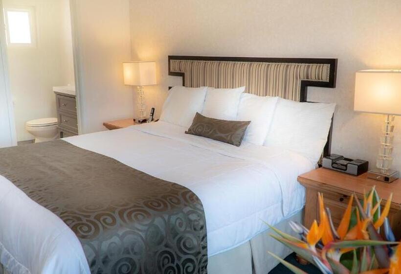 스탠다드 룸 킹사이즈 침대, San Simeon Lodge