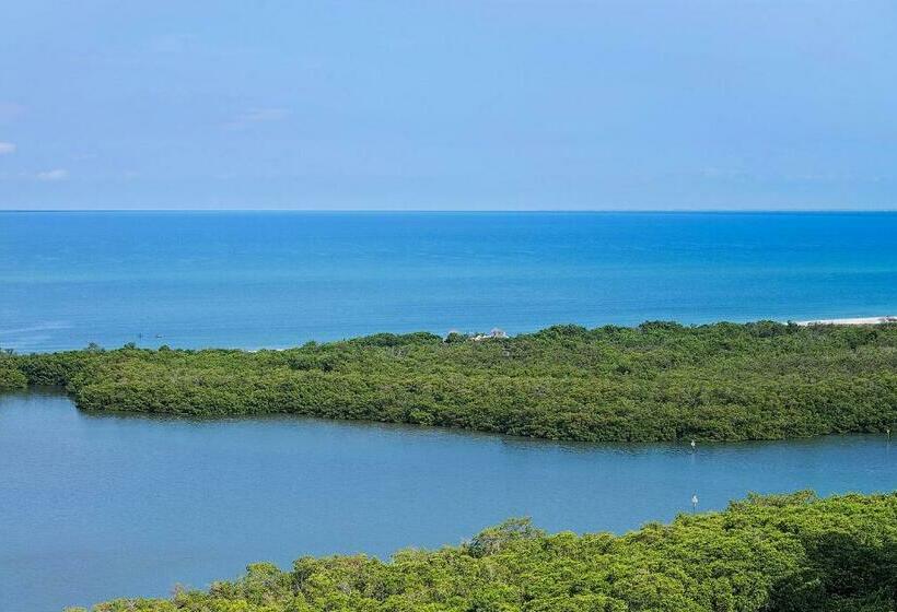 스탠다드 전망 룸, Naples Grande Beach Resort